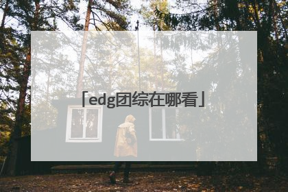 edg团综在哪看