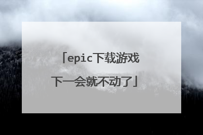 epic下载游戏下一会就不动了