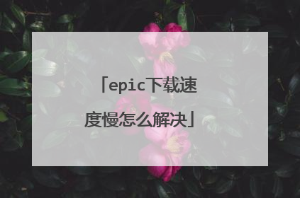 epic下载速度慢怎么解决