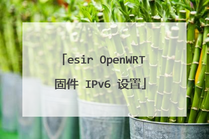 esir OpenWRT 固件 IPv6 设置