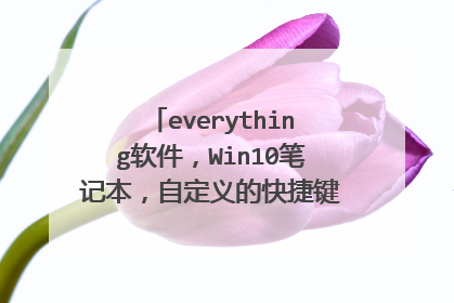 everything软件，Win10笔记本，自定义的快捷键新建窗口，使用不了