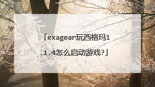 exagear玩西格玛1.1.4怎么启动游戏?