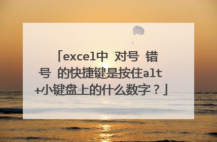 excel中 对号 错号 的快捷键是按住alt+小键盘上的什么数字？