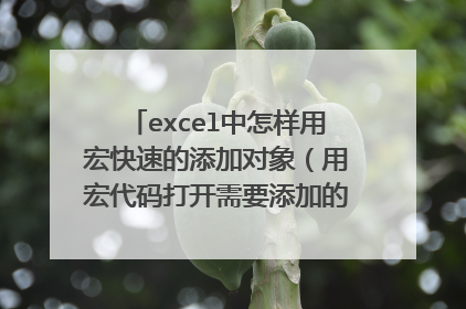 excel中怎样用宏快速的添加对象（用宏代码打开需要添加的对象的文件夹）？
