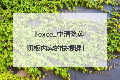 excel中清除剪切板内容的快捷键