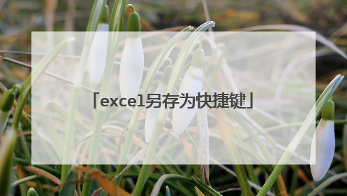 excel另存为快捷键
