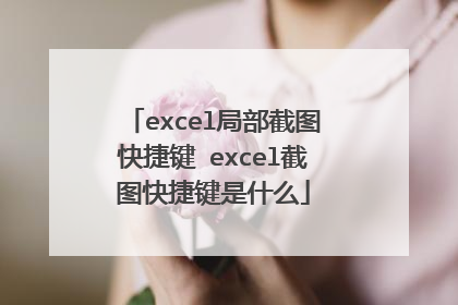 excel局部截图快捷键 excel截图快捷键是什么