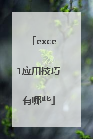 excel应用技巧有哪些