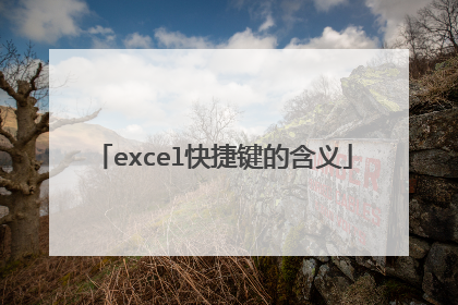 excel快捷键的含义