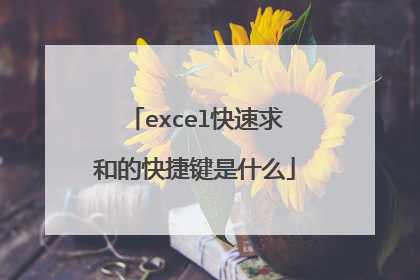 excel快速求和的快捷键是什么