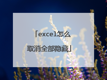 excel怎么取消全部隐藏