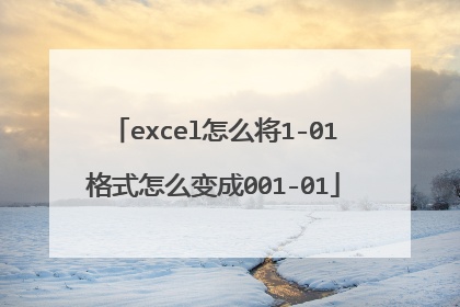 excel怎么将1-01格式怎么变成001-01