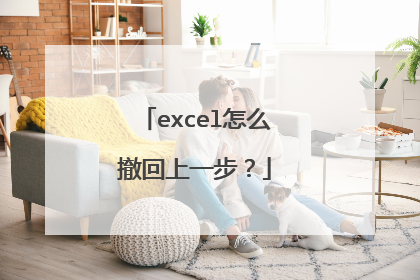 excel怎么撤回上一步?