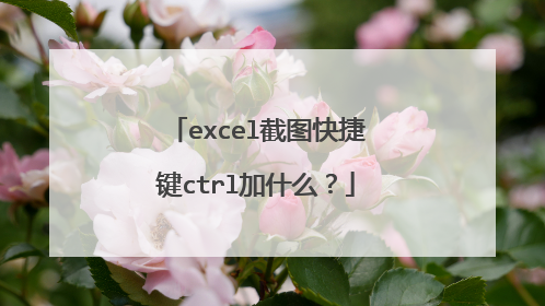 excel截图快捷键ctrl加什么？