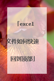 excel文件如何快速回到顶部