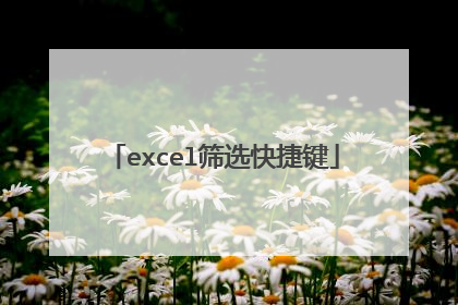 excel筛选快捷键