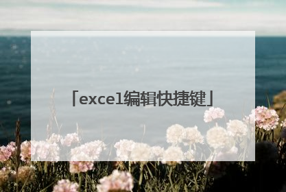excel编辑快捷键