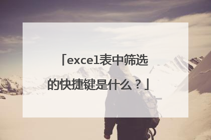 excel表中筛选的快捷键是什么？
