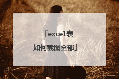 excel表如何截图全部
