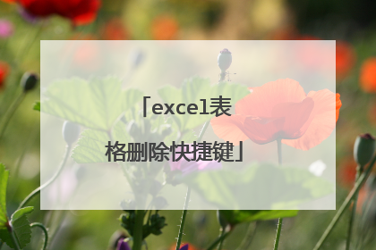 excel表格删除快捷键