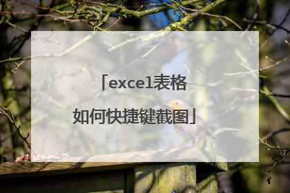 excel表格如何快捷键截图