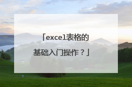 excel表格的基础入门操作?