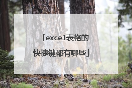 excel表格的快捷键都有哪些