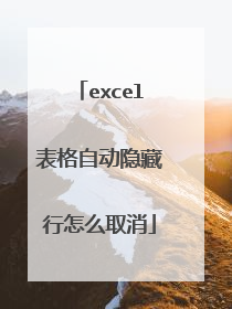excel表格自动隐藏行怎么取消