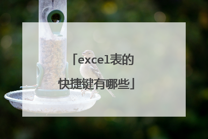 excel表的快捷键有哪些