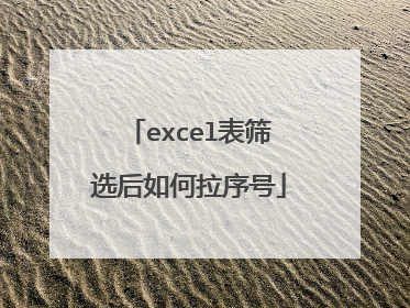 excel表筛选后如何拉序号