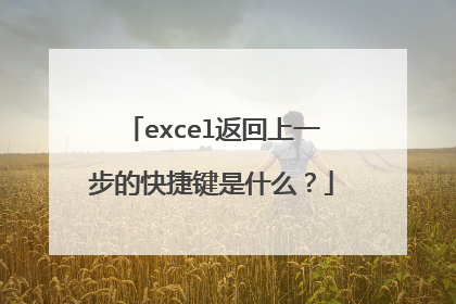 excel返回上一步的快捷键是什么？