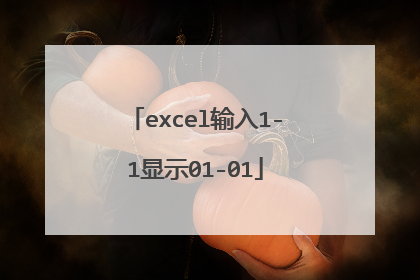 excel输入1-1显示01-01