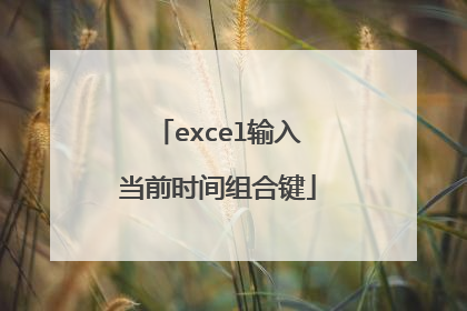 excel输入当前时间组合键