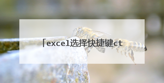 excel选择快捷键ctrl加什么可以跳格复制