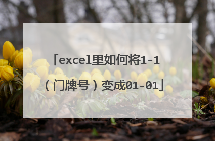 excel里如何将1-1(门牌号)变成01-01