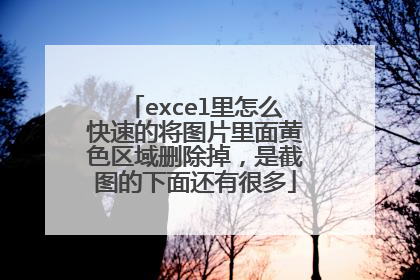 excel里怎么快速的将图片里面黄色区域删除掉，是截图的下面还有很多