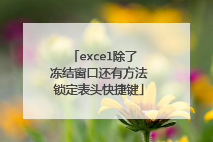 excel除了冻结窗口还有方法锁定表头快捷键