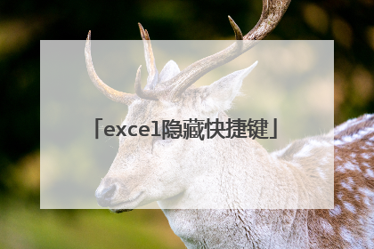 excel隐藏快捷键