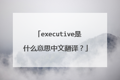 executive是什么意思中文翻译?