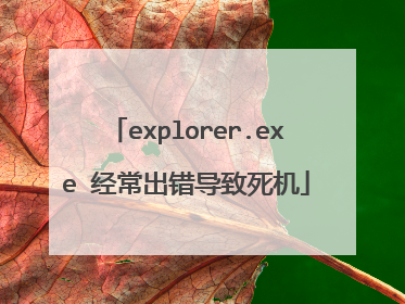 explorer.exe 经常出错导致死机