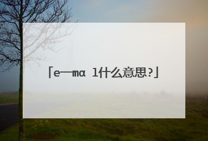 e一mαⅰl什么意思?