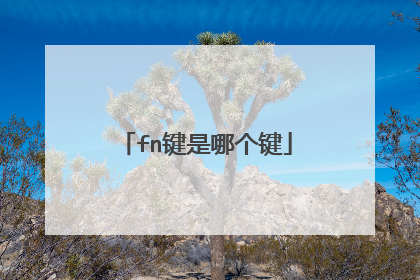 fn键是哪个键