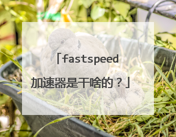 fastspeed加速器是干啥的?