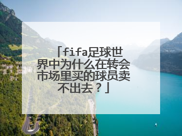 fifa足球世界中为什么在转会市场里买的球员卖不出去？