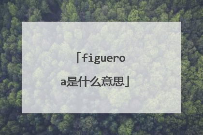 figueroa是什么意思