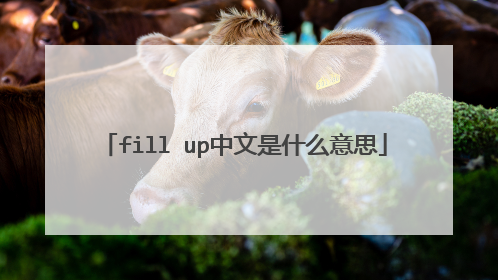 fill up中文是什么意思