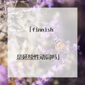 finnish是延续性动词吗