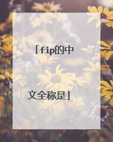 fip的中文全称是