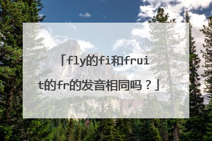 fly的fi和fruit的fr的发音相同吗?