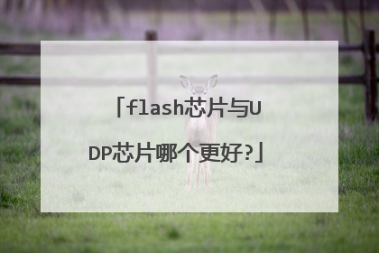 flash芯片与UDP芯片哪个更好?